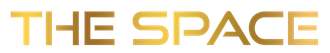 the space logo